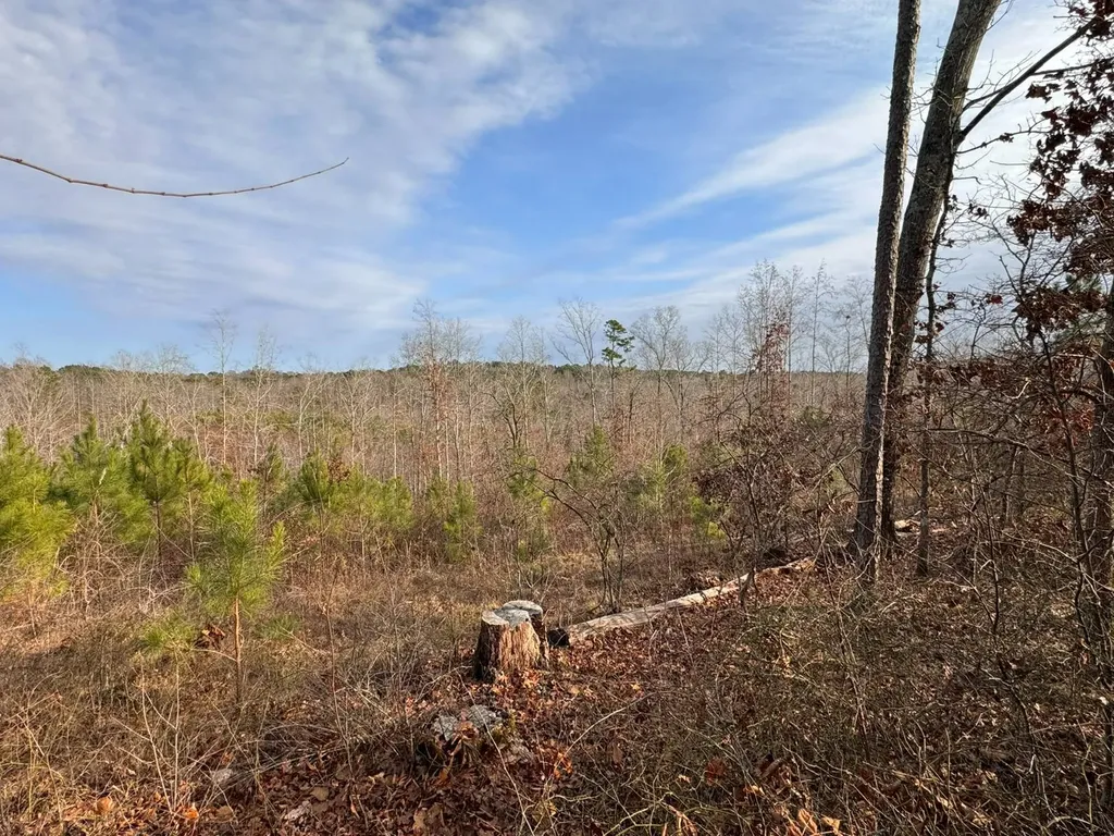 02 County Road 139 Haleyville AL 35565