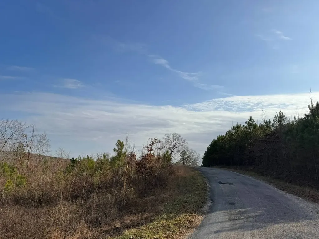02 County Road 139 Haleyville AL 35565