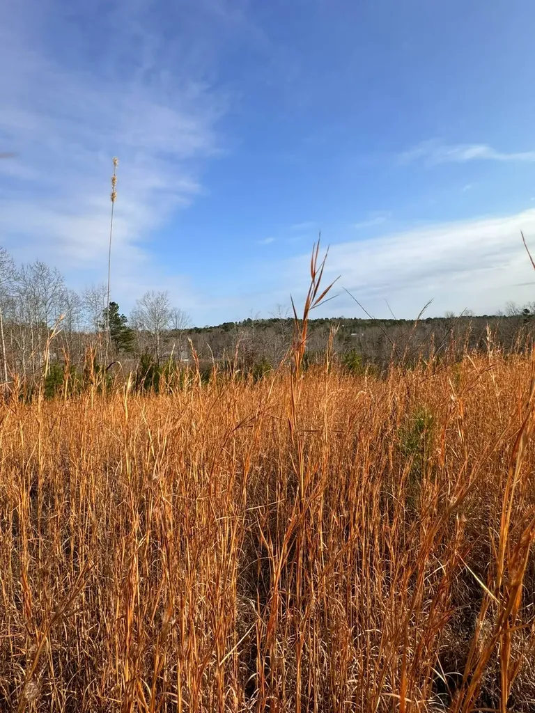 02 County Road 139 Haleyville AL 35565