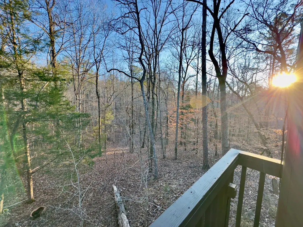 00 Coosa County Road 8 Rockford AL 35136