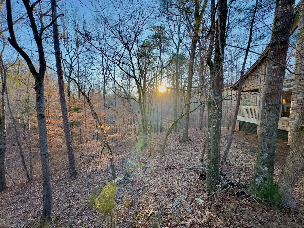 00 Coosa County Road 8 Rockford AL 35136