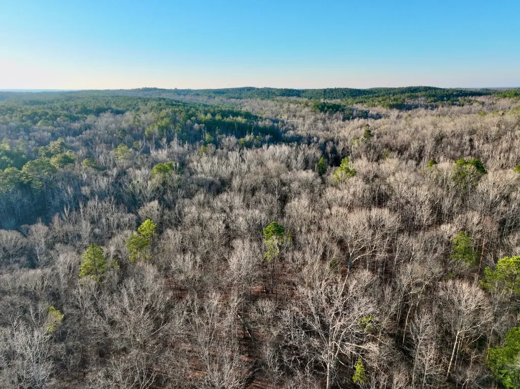 00 Coosa County Road 8 Rockford AL 35136