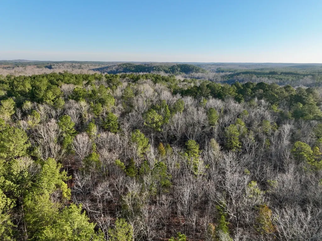 00 Coosa County Road 8 Rockford AL 35136