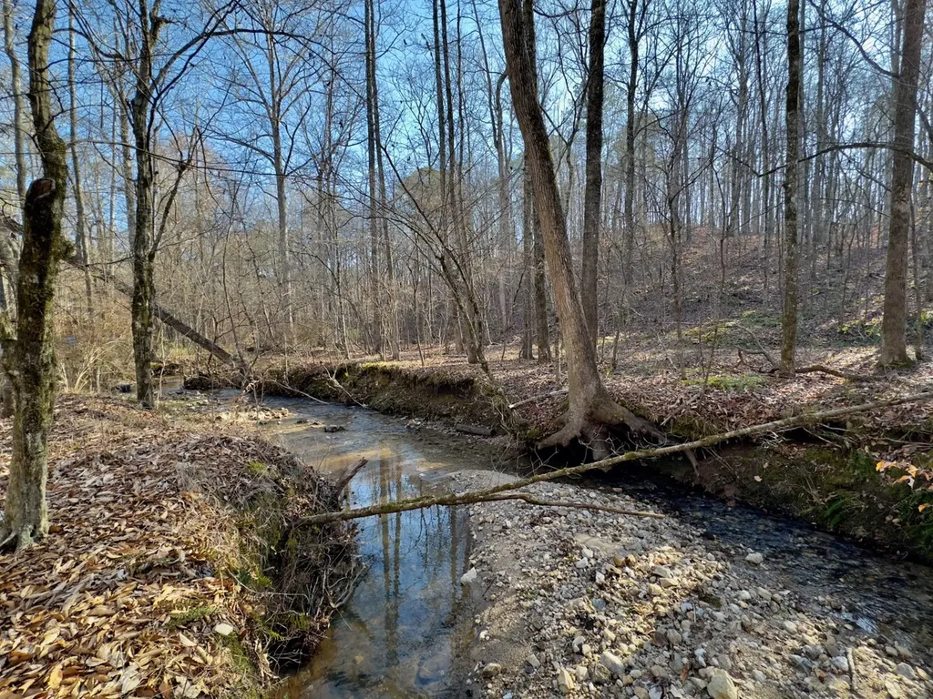 00 Coosa County Road 8 Rockford AL 35136