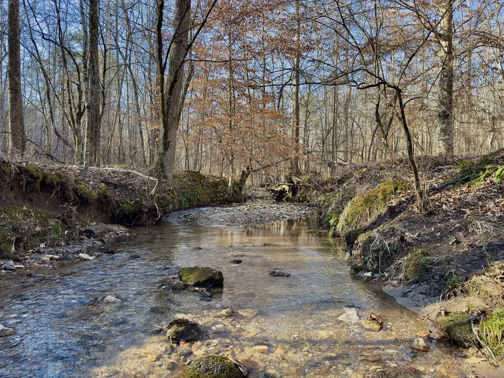 00 Coosa County Road 8 Rockford AL 35136