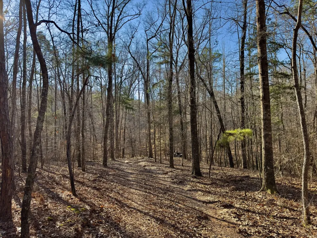 00 Coosa County Road 8 Rockford AL 35136