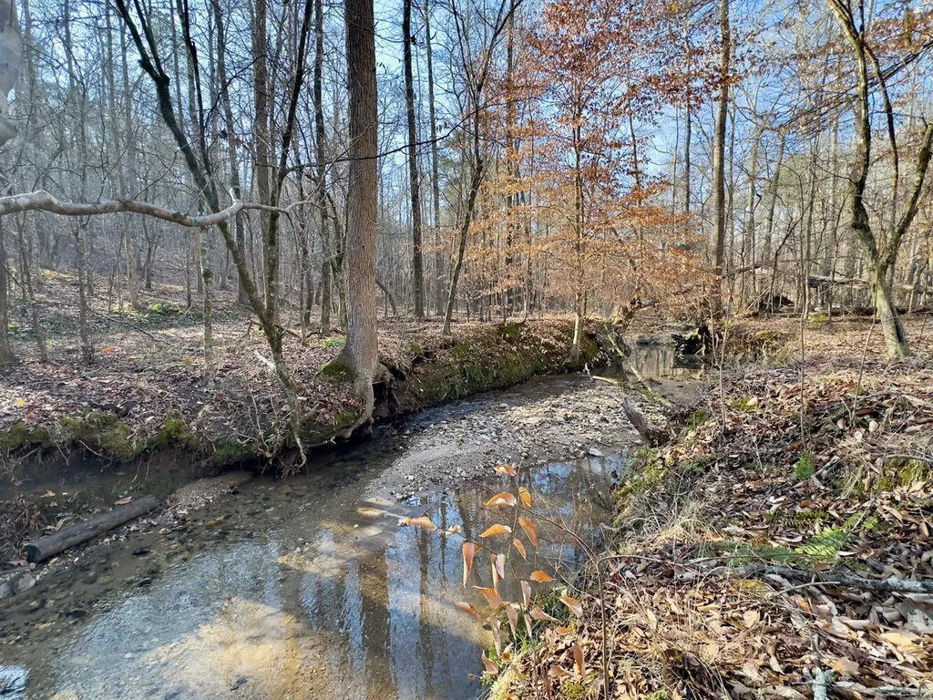 00 Coosa County Road 8 Rockford AL 35136