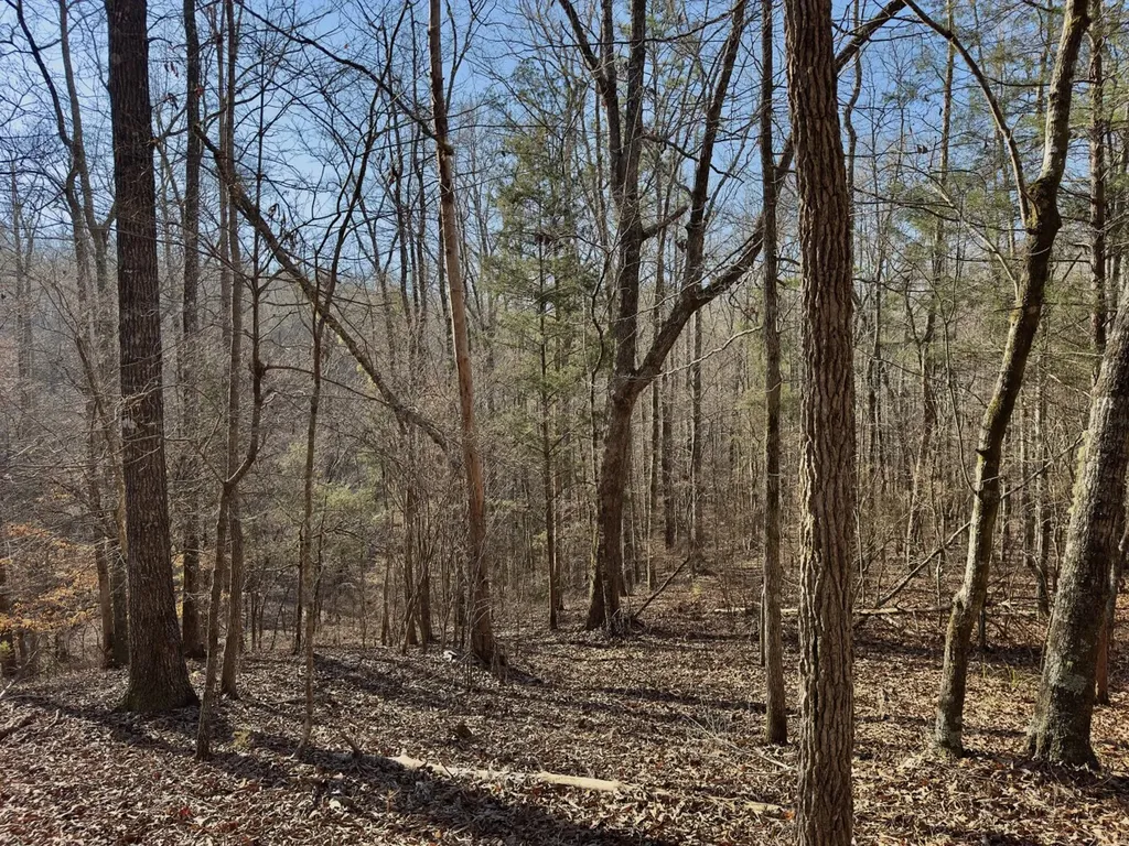 00 Coosa County Road 8 Rockford AL 35136