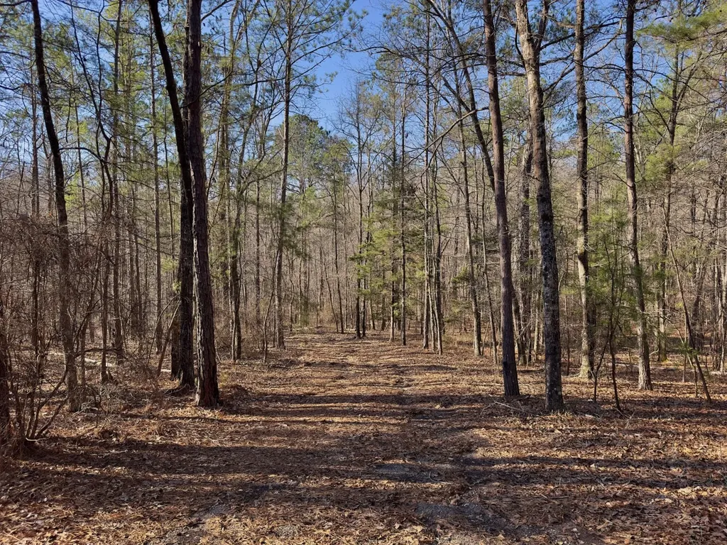 00 Coosa County Road 8 Rockford AL 35136