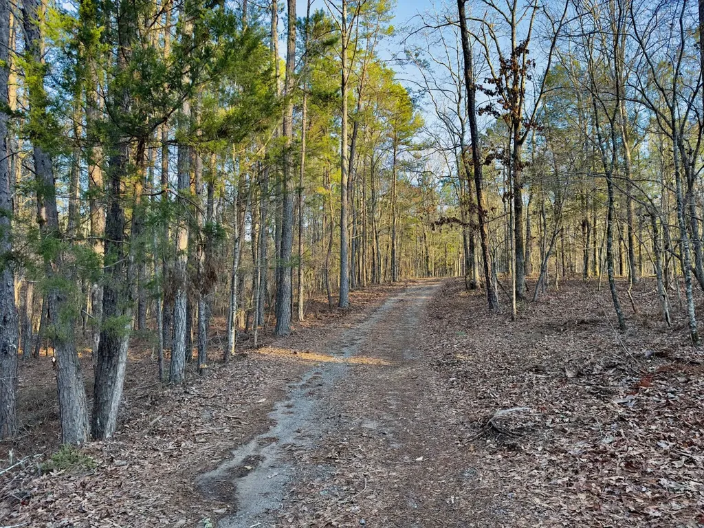00 Coosa County Road 8 Rockford AL 35136