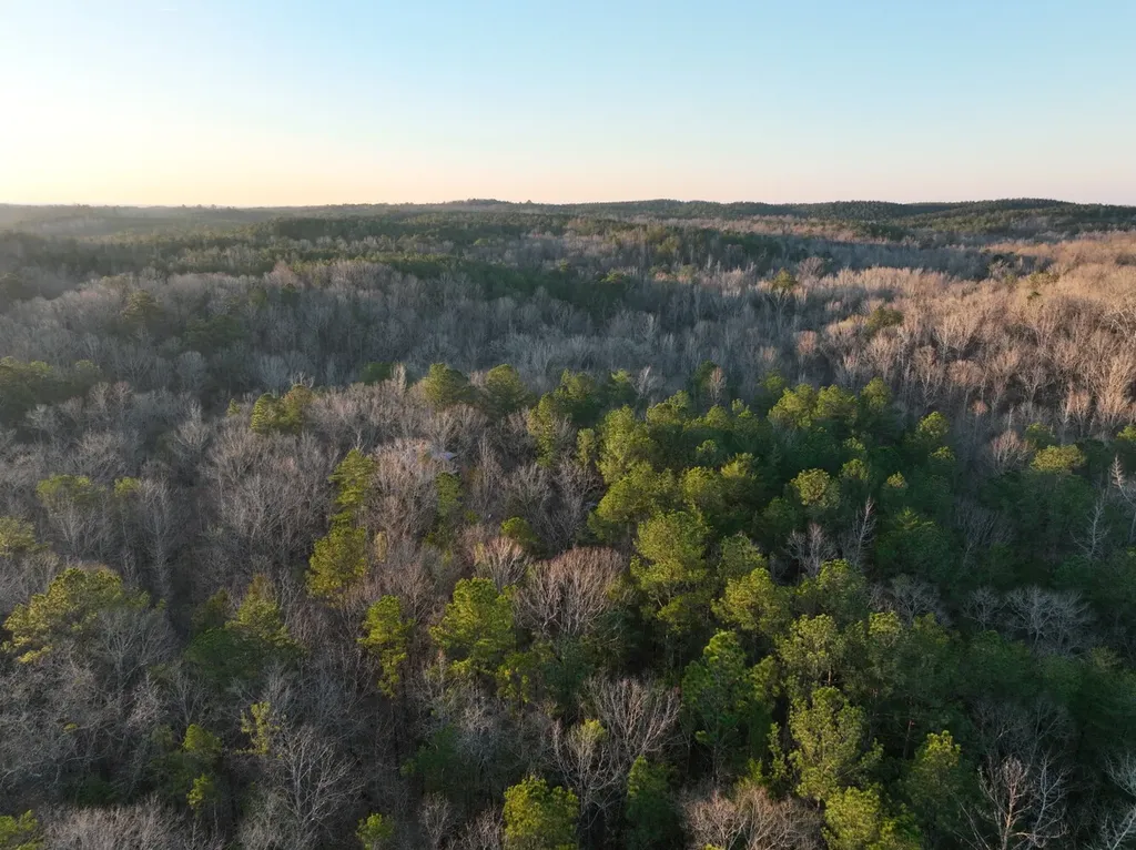 00 Coosa County Road 8 Rockford AL 35136