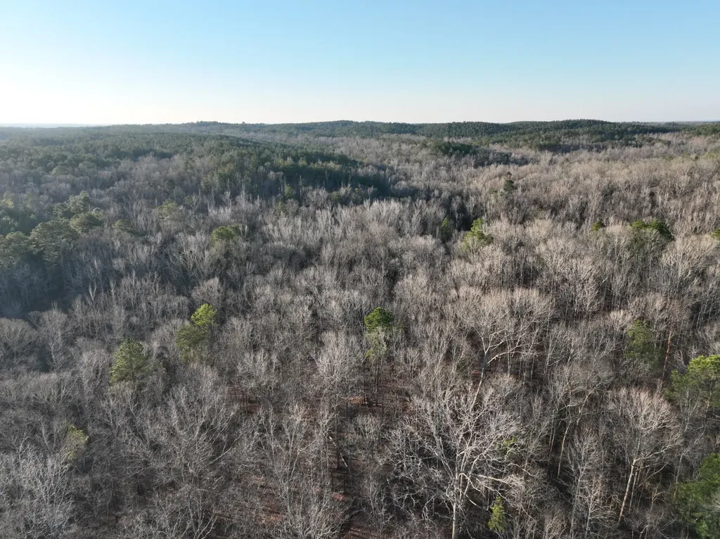00 Coosa County Road 8 Rockford AL 35136