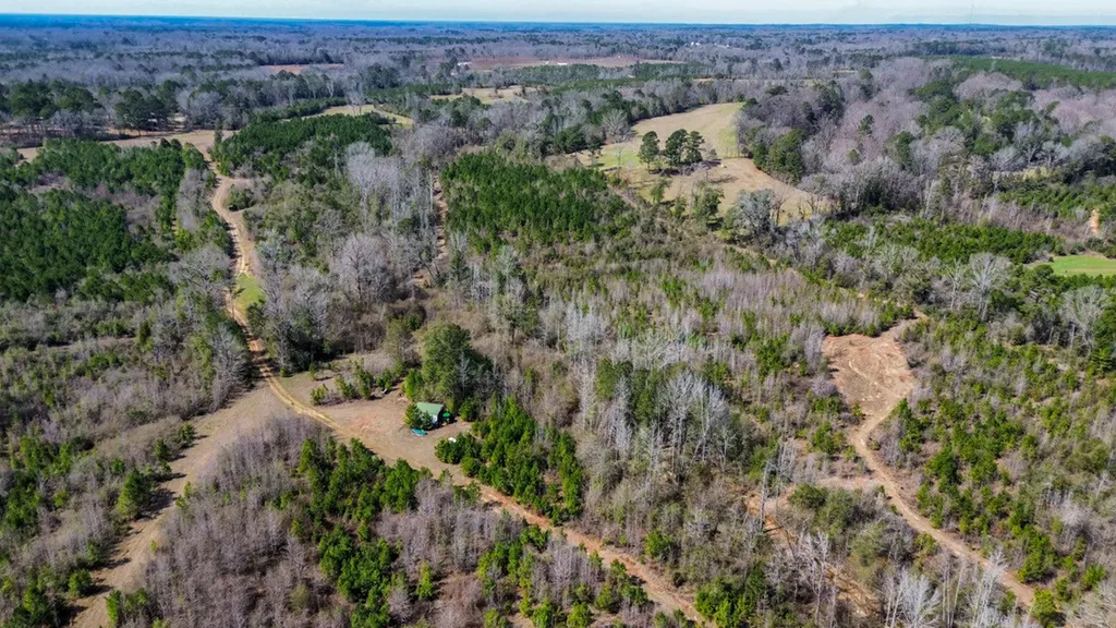 000 Private Road Berry Road Valley Grande AL 36701
