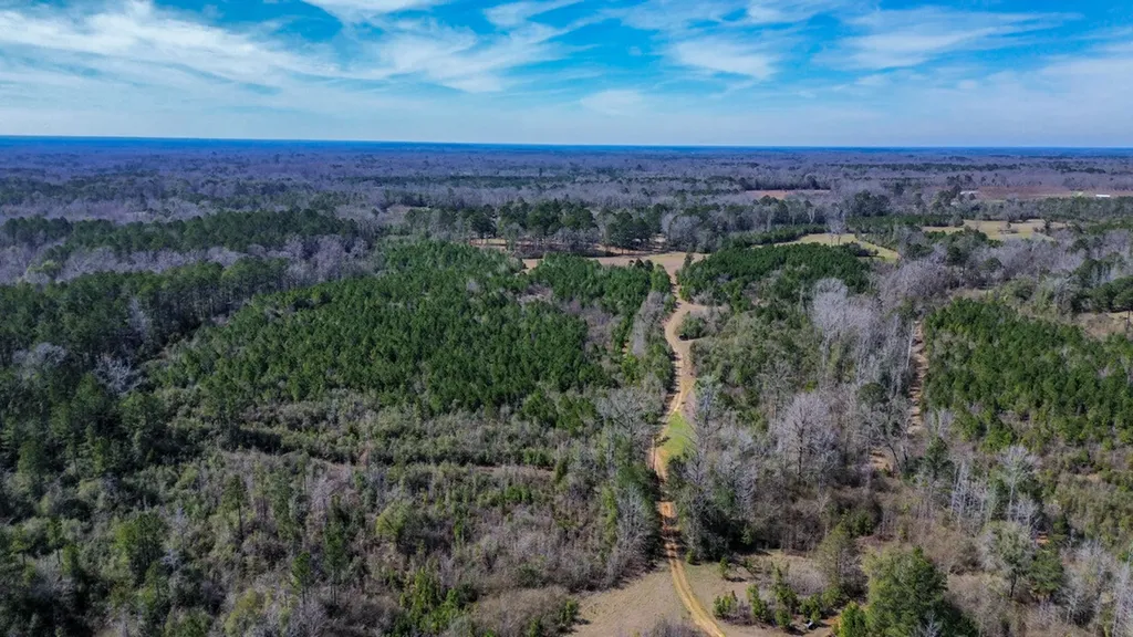 000 Private Road Berry Road Valley Grande AL 36701