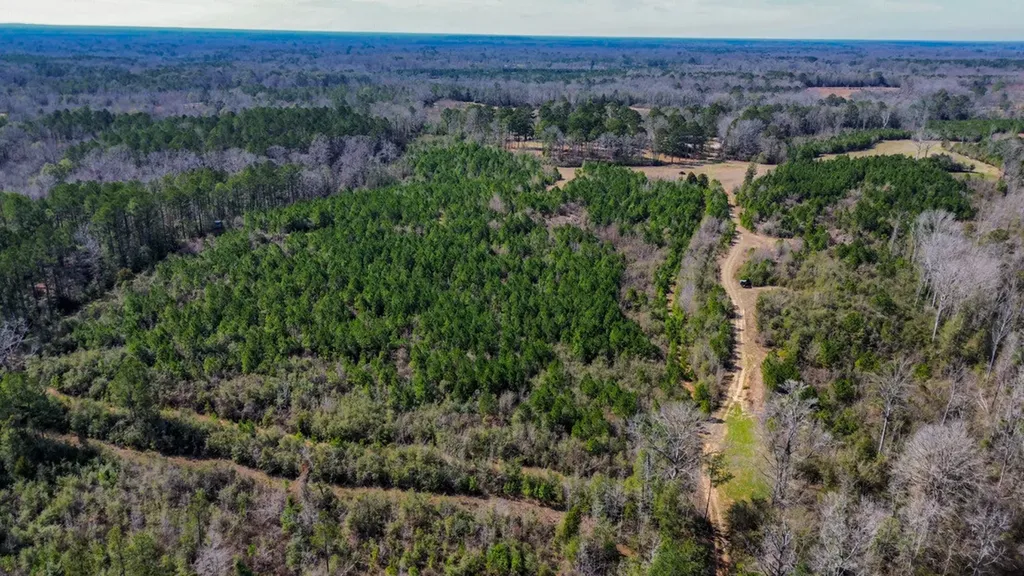 000 Private Road Berry Road Valley Grande AL 36701