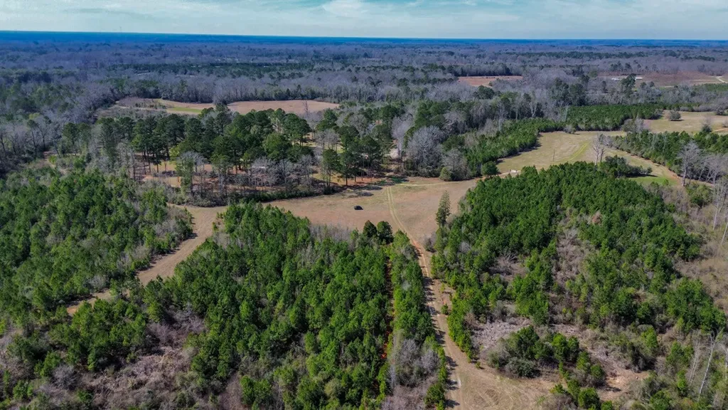 000 Private Road Berry Road Valley Grande AL 36701
