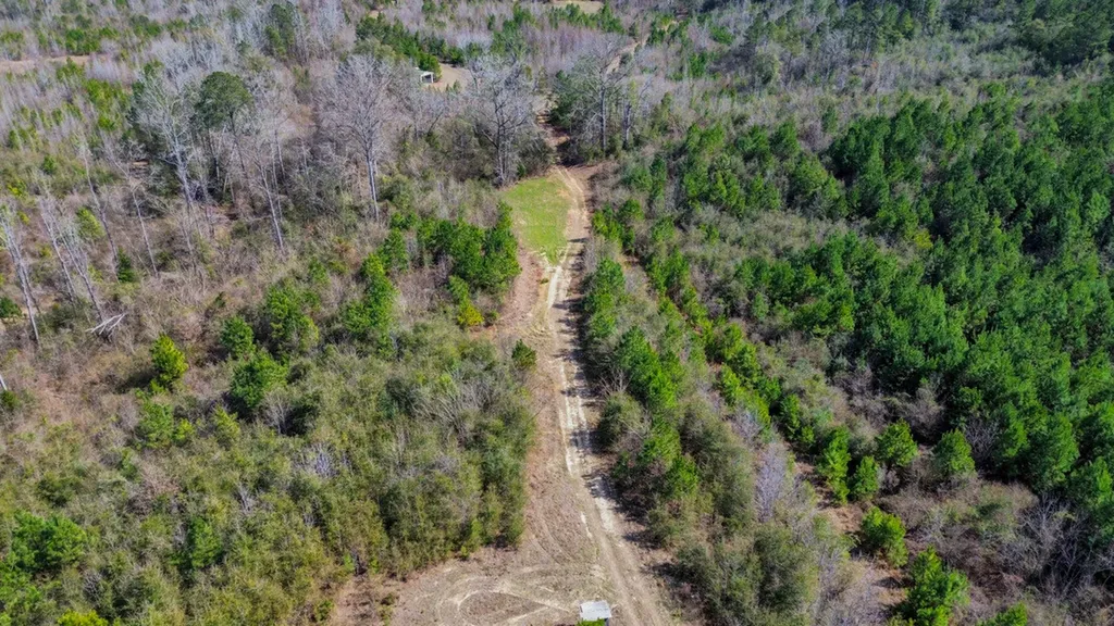 000 Private Road Berry Road Valley Grande AL 36701