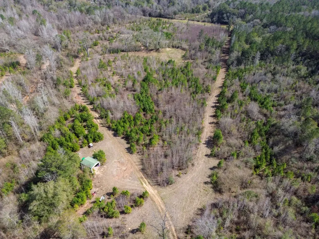 000 Private Road Berry Road Valley Grande AL 36701