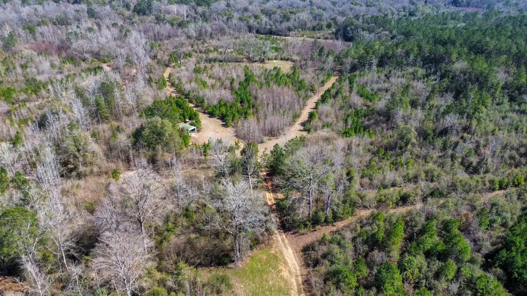 000 Private Road Berry Road Valley Grande AL 36701
