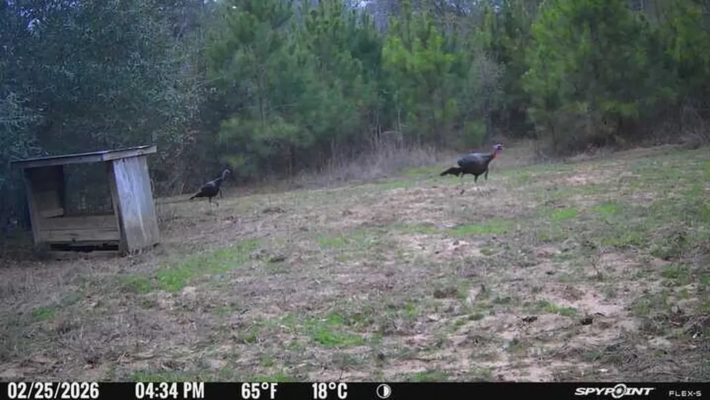 000 Private Road Berry Road Valley Grande AL 36701