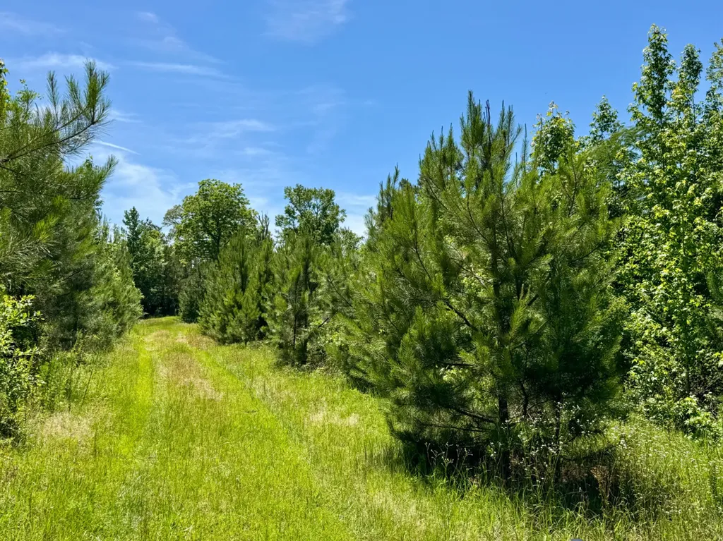 000 Private Road Berry Road Valley Grande AL 36701