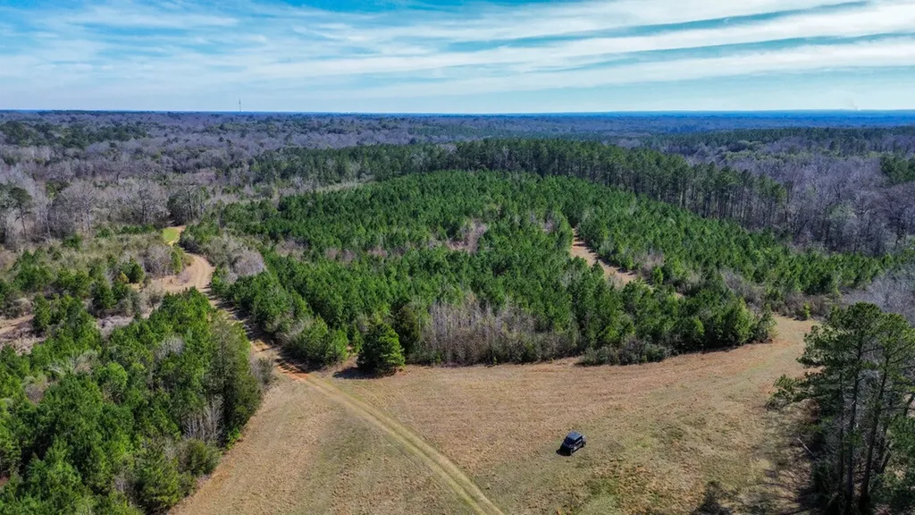 000 Private Road Berry Road Valley Grande AL 36701