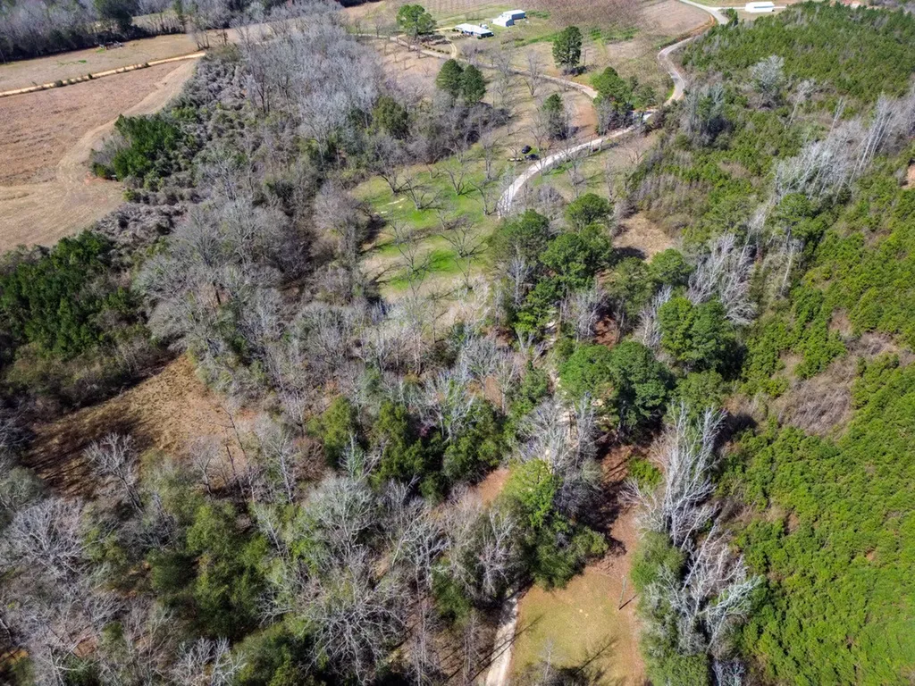 000 Private Road Berry Road Valley Grande AL 36701