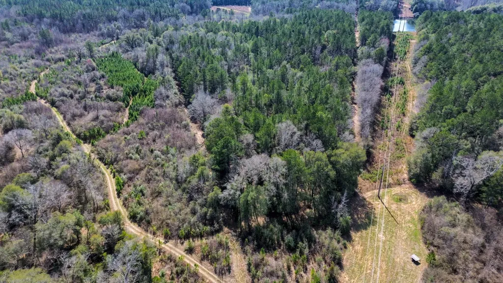 000 Private Road Berry Road Valley Grande AL 36701
