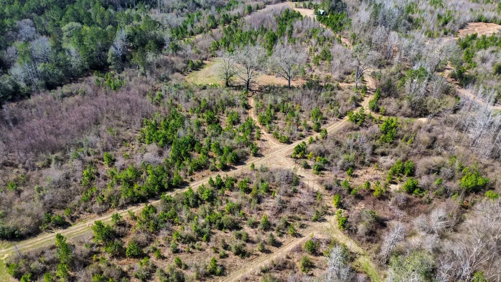 000 Private Road Berry Road Valley Grande AL 36701