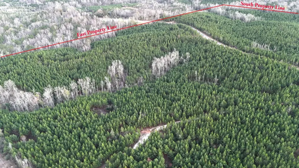 0 Southern Pines Road Sweet Water AL 36782