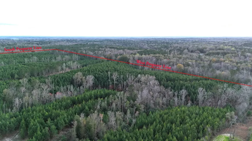 0 Southern Pines Road Sweet Water AL 36782