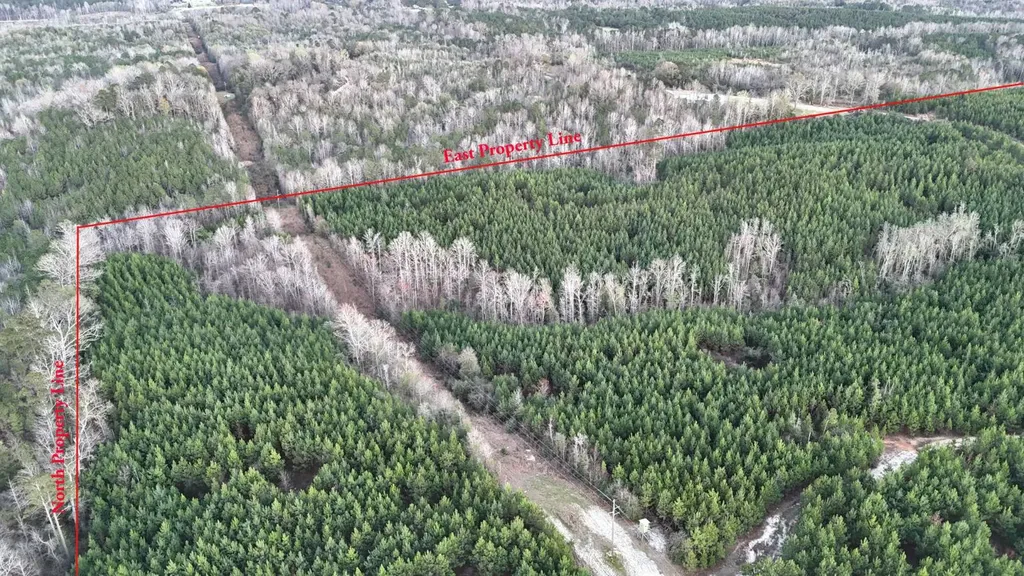 0 Southern Pines Road Sweet Water AL 36782
