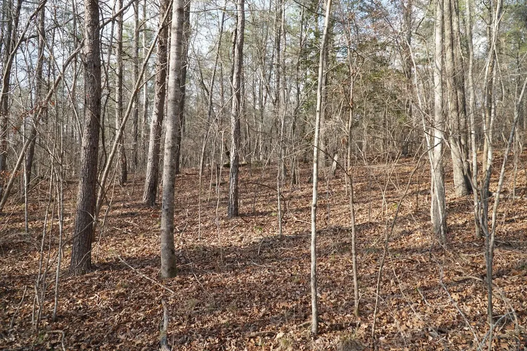 0 County Road 17 Haleyville AL 35565