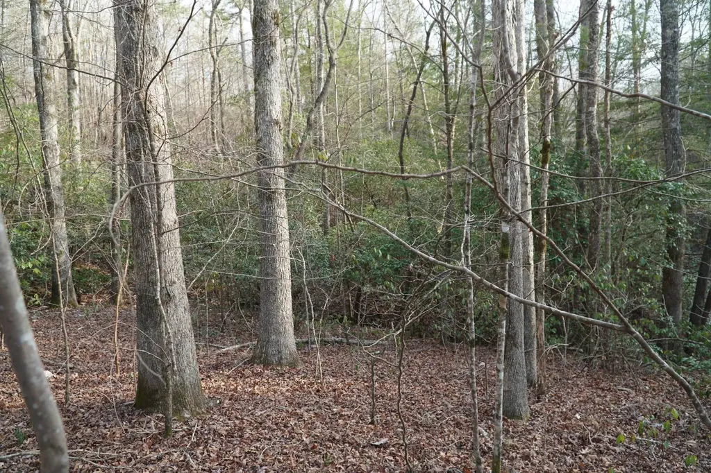 0 County Road 17 Haleyville AL 35565