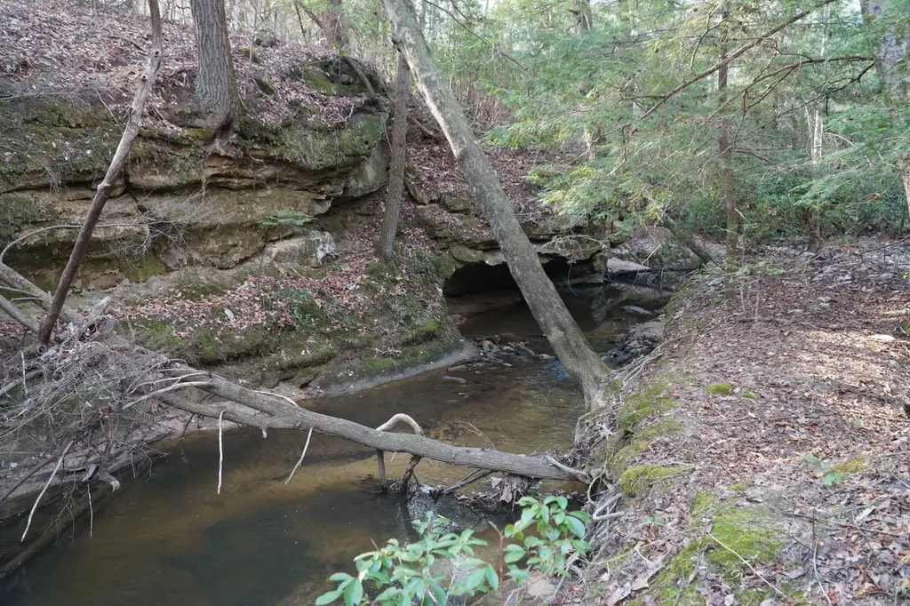 0 County Road 17 Haleyville AL 35565