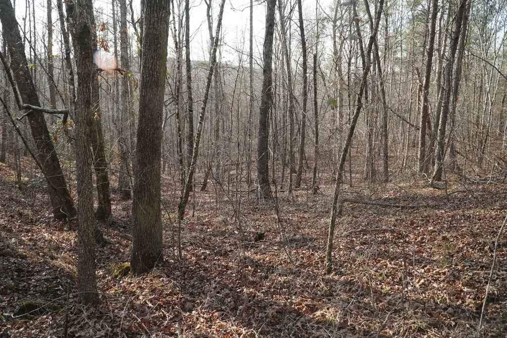 0 County Road 17 Haleyville AL 35565