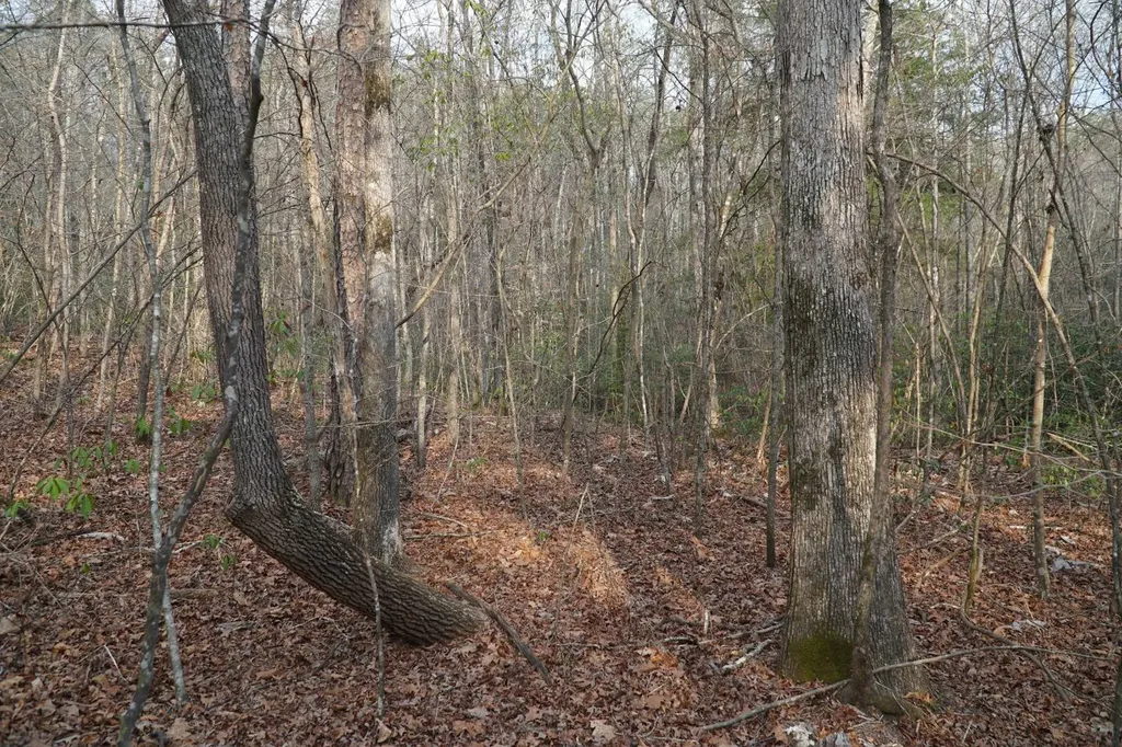 0 County Road 17 Haleyville AL 35565