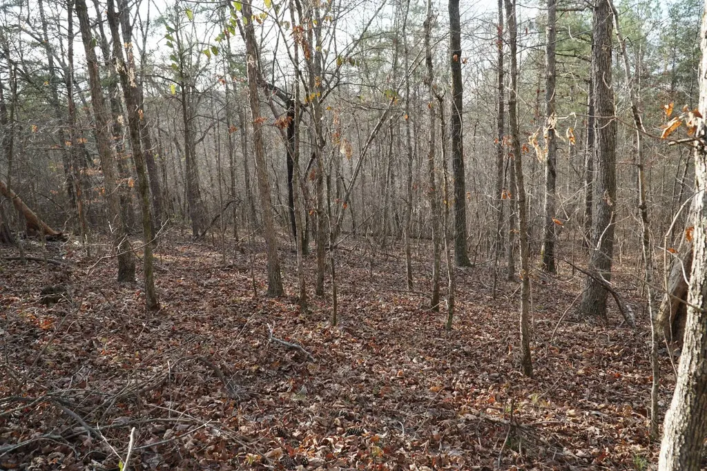 0 County Road 17 Haleyville AL 35565