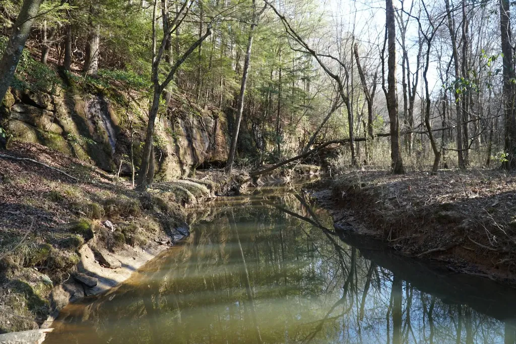 0 County Road B03 Haleyville AL 35565