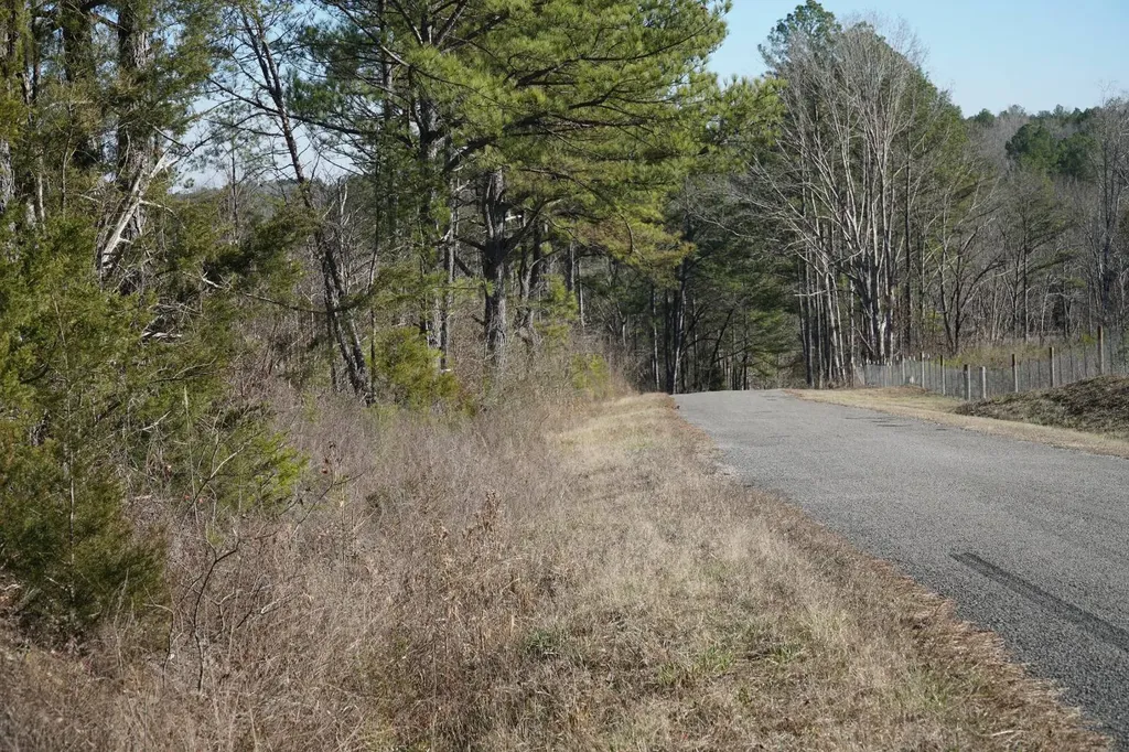 0 County Road B03 Haleyville AL 35565