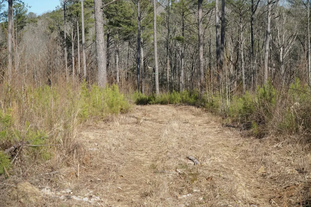 0 County Road B03 Haleyville AL 35565