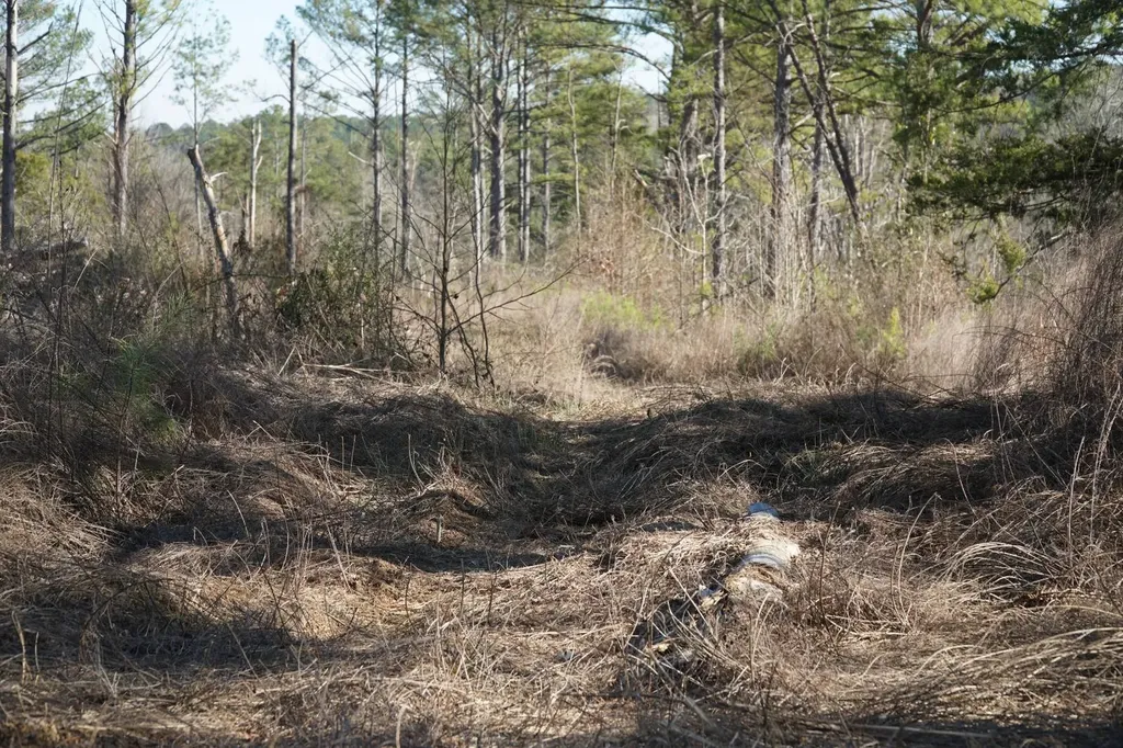 0 County Road B03 Haleyville AL 35565