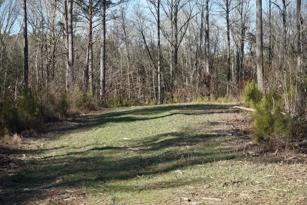 0 County Road B03 Haleyville AL 35565
