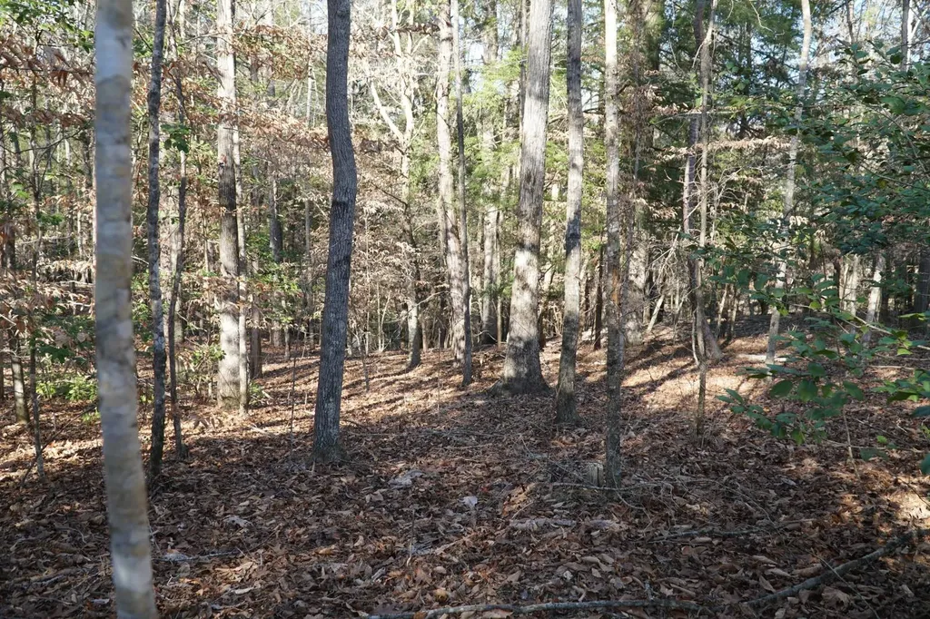 0 County Road B03 Haleyville AL 35565