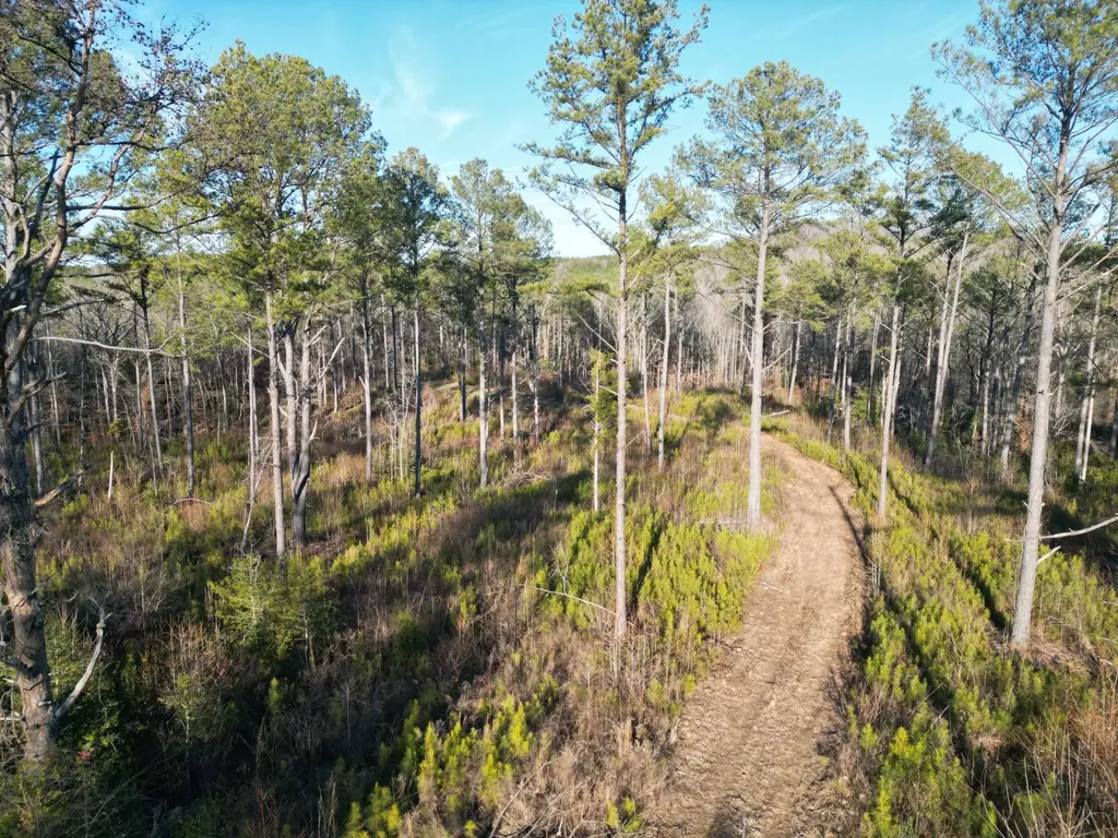 0 County Road B03 Haleyville AL 35565