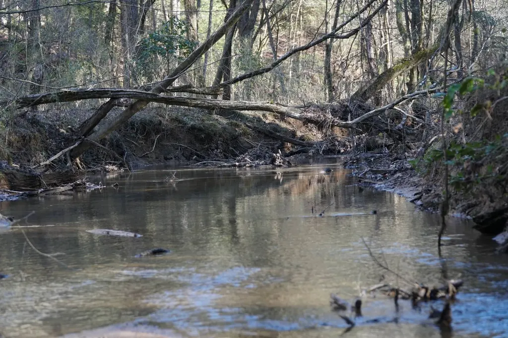 0 County Road B03 Haleyville AL 35565
