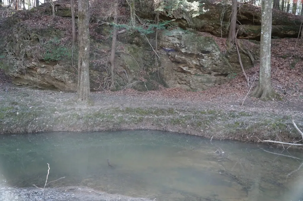 0 County Road B03 Haleyville AL 35565