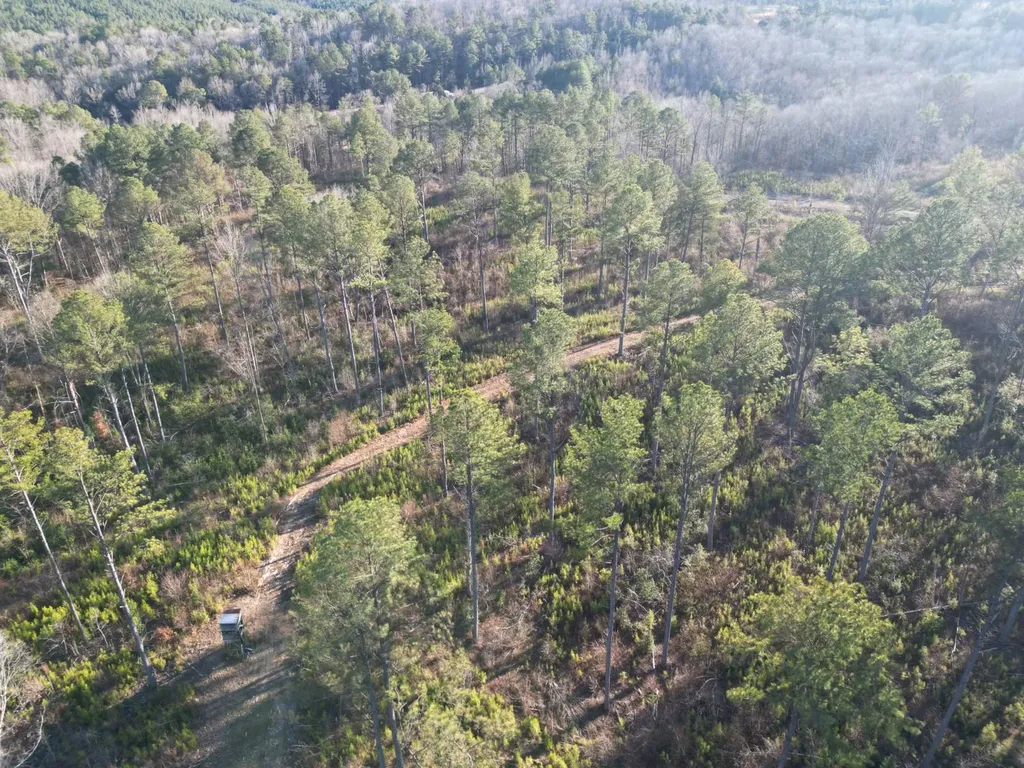0 County Road B03 Haleyville AL 35565