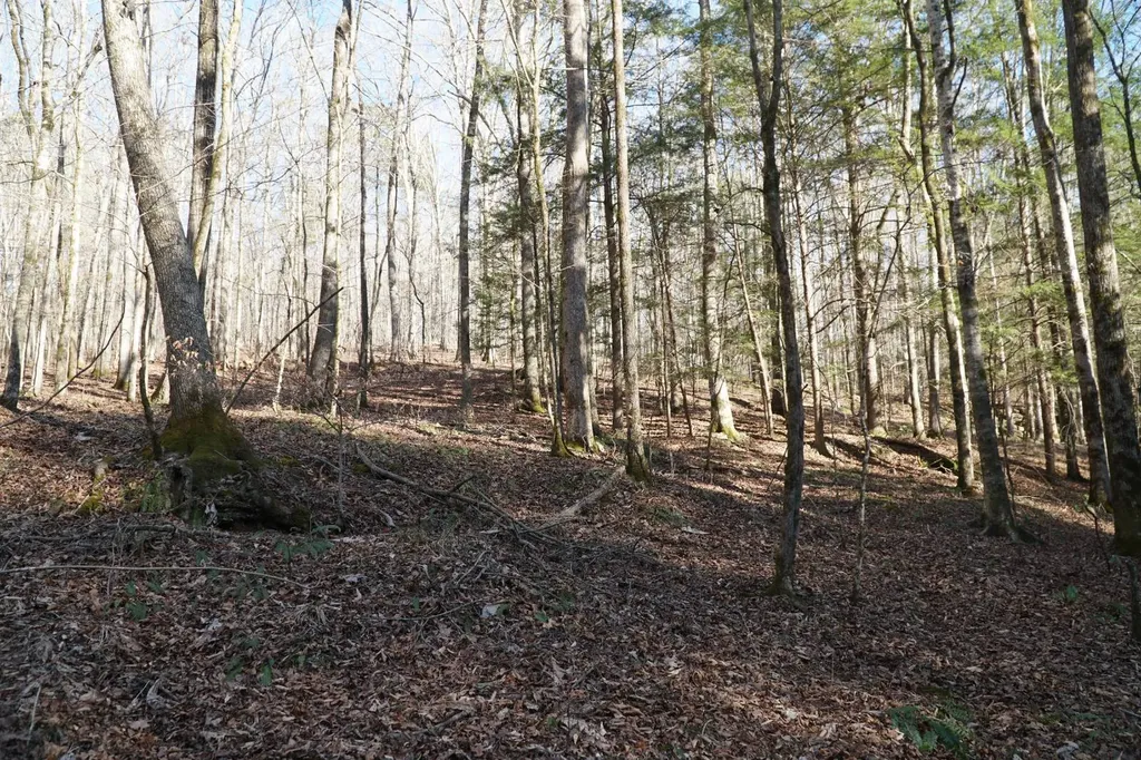 0 County Road B03 Haleyville AL 35565