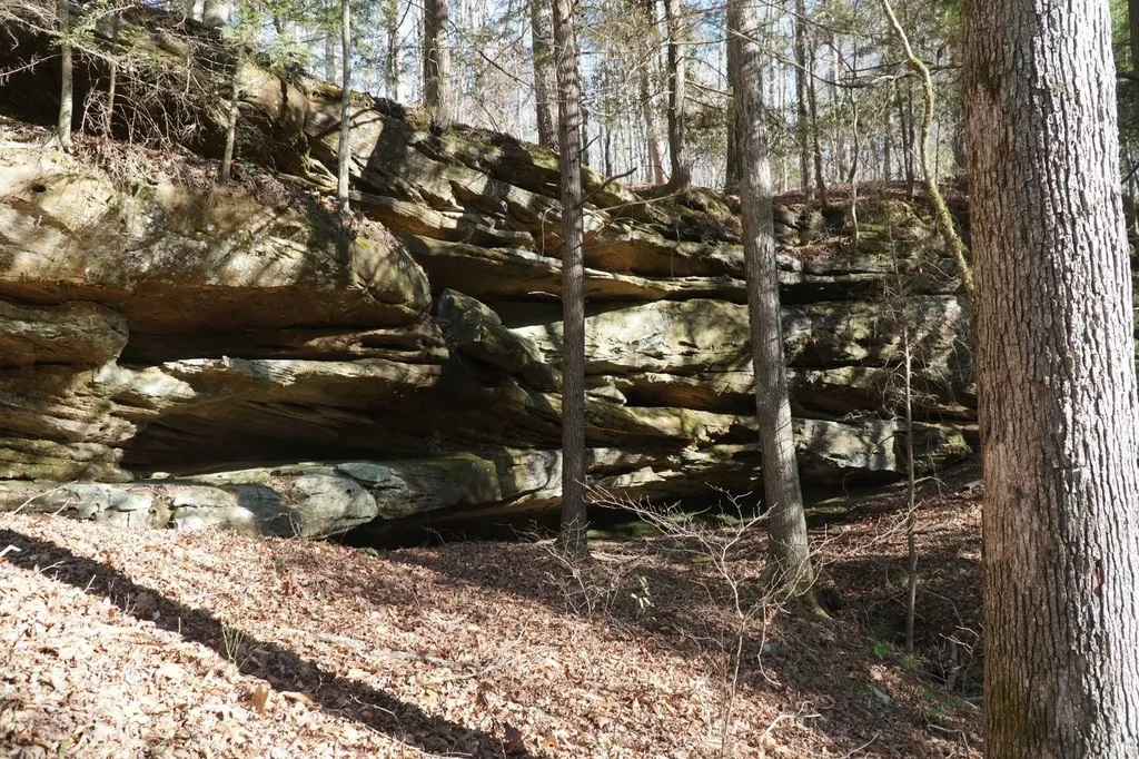 0 County Road B03 Haleyville AL 35565
